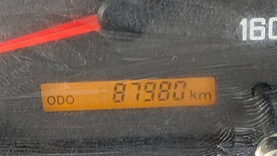 1769405290677.jpg